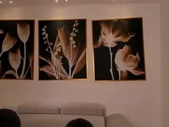 Amateur Live Sex Cam of NiaSalvatore