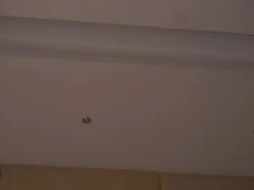 Chaturbate Free Porn Cam of taitehambelton