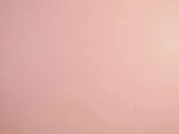 Chaturbate Sex Cam of sunny_flower_