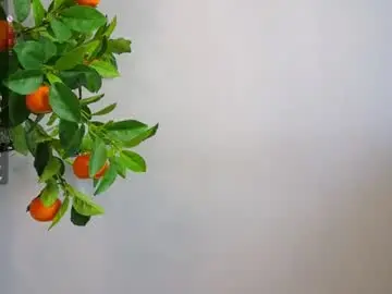 Chaturbate Free Porn Cam of sinfulfairy